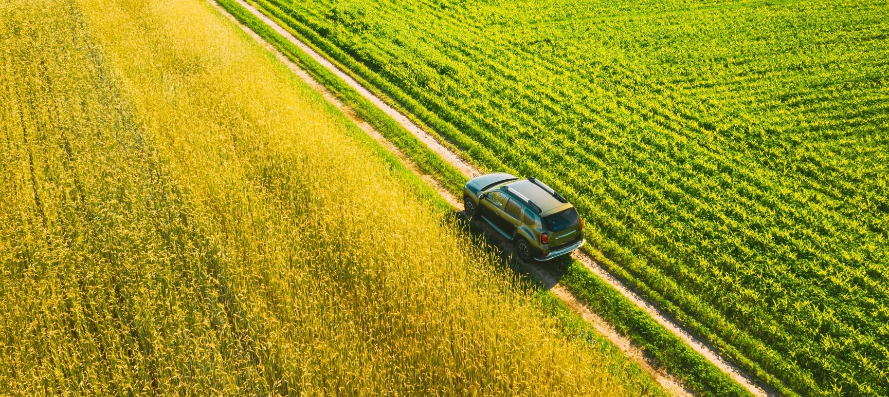 Jazda SUV-em w terenie